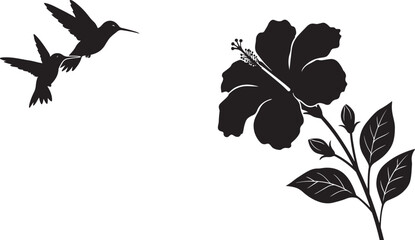 Two black silhouette hummingbirds are gracefully approaching a beautiful black hibiscus flower, illustrating nature's delicate interaction. Vector Black silhouettes illustration © Mofazzelh