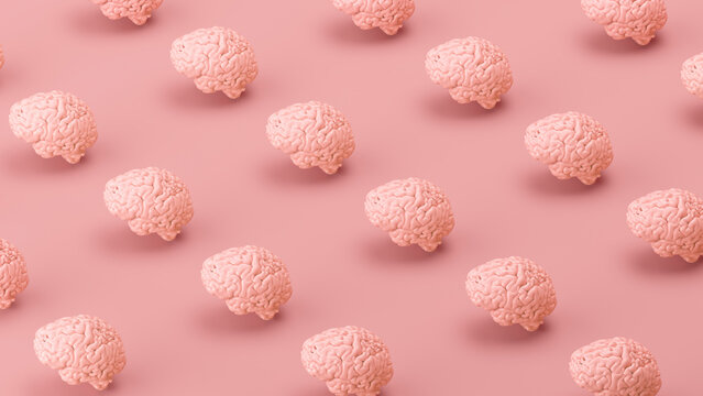 Three dimensional pattern of rows of human brains