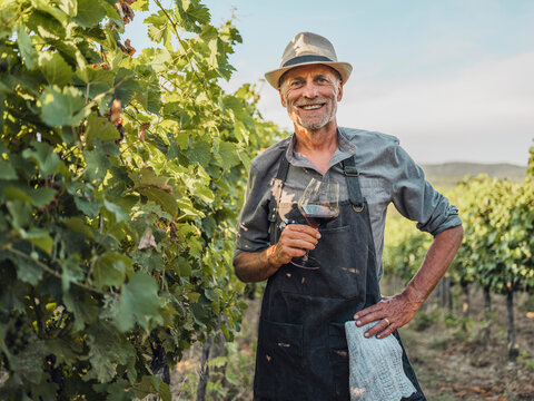 Smiling winemaker holding wine glass in a sunny Tuscany vineyard