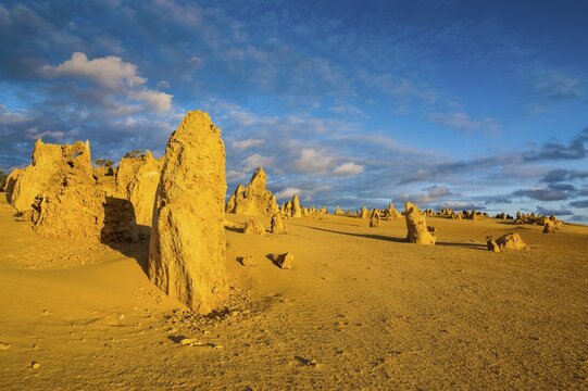 The Pinnacles limestone formations, Nambung National Park, Western Australia