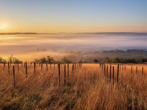 Morning atmosphere in the Saale Valley near the village of Eulau in autumn, fog sweeping through the valley, tall grass and wooden posts in a former vineyard in front, wind turbines on the horizon, Naumburg, Saxony-Anhalt, Germany