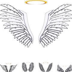 Obraz premium White angel feathers with a glowing golden halo symbolizing spirituality, heaven, purity and protection, ethereal design elements for sacred, peaceful and divine themed projects