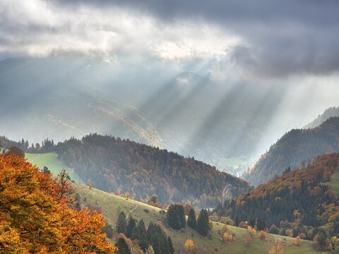 View of typical Black Forest landscape with steep meadows and forests on Schauinsland, trees in full autumn colors, sun rays breaking through the clouds, Black Forest, Baden-W&uuml;rttemberg, Germany