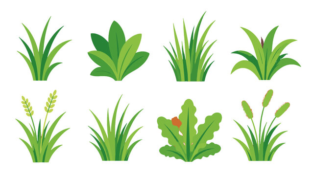 Set of green grass and leafy plants in flat vector style
