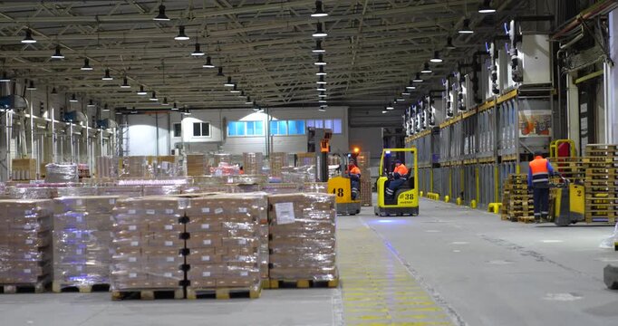 Steady wide shot of a busy modern industrial warehouse with workers operating yellow forklifts and moving pallets of goods