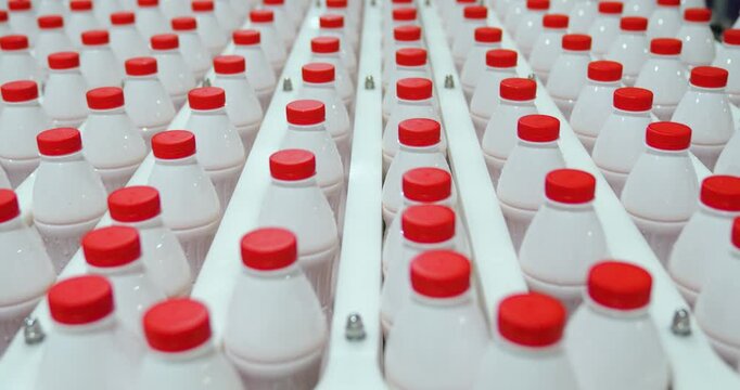 Steady high-angle shot of multiple rows of chilled white plastic dairy bottles with red caps moving along a multi-lane conveyor belt