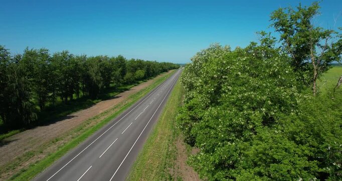 Cinematic aerial drone flight forward over lush blooming white acacia trees and a winding country road towards a distant city skyline in Russia