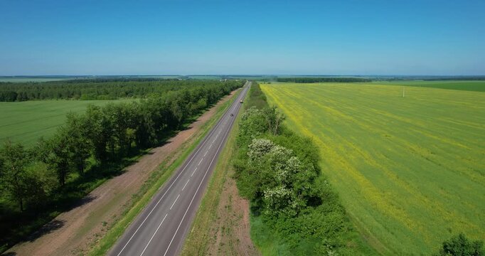 Cinematic aerial drone flight forward over lush blooming white acacia trees and a winding country road towards a distant city skyline in Russia