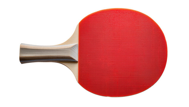 Red ping pong paddle with layered wood handle
