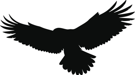 Fototapeta premium Flying eagle silhouette graphic icon isolated on white background with silhouette