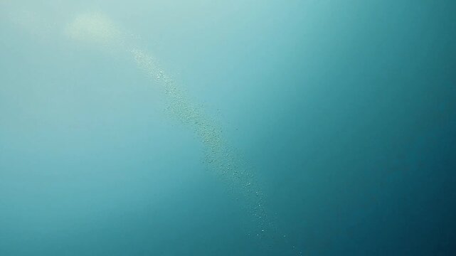 Air bubbles rising through blue underwater water column in Marsa Alam Egypt, stunning clear water