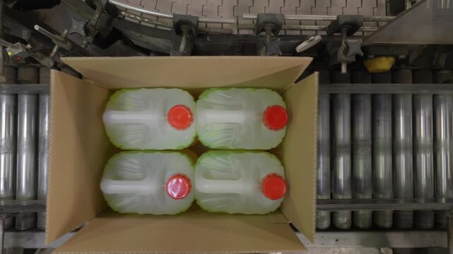 Overhead view of four capped chemical canisters neatly packed inside open cardboard box on roller conveyor