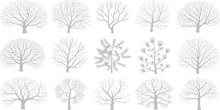 Bare Branches of Winter: A collection of stylized trees, depicted in monochrome, showcases the intricate network of bare branches against a stark backdrop.