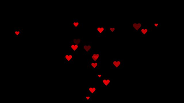 Like fountain fly up. Stream reactions in social media. Flying hearts motion background with red hearts flying icon,
Valentines day hearts icon falling animation on white screen background. 