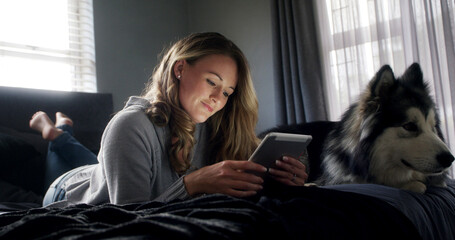 Relax, tablet and woman with husky on bed in apartment for browsing, connection or search. App, break and social media with dog owner person in bedroom of home for download, post or weekend update © peopleimages.com