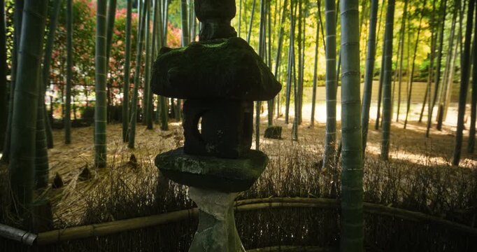 Moss-Covered Stone Lantern IN Bamboo Grove - Medium, Steady Cam Shot