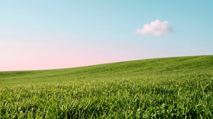 Fototapeta premium Minimalist fine art landscape of a perfectly clean green grass hill under a soft pastel pink and blue sky