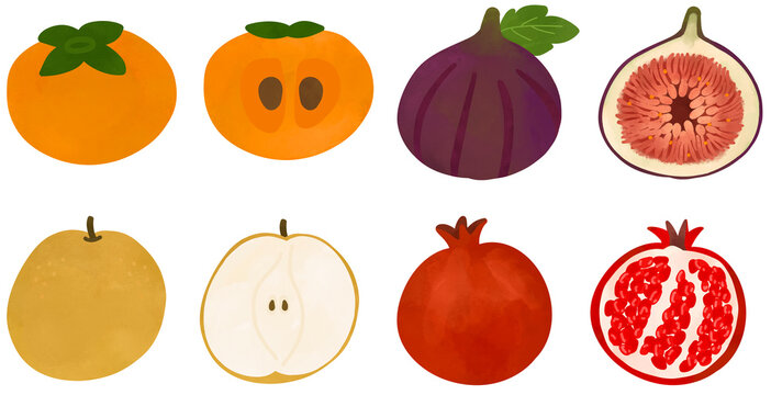감&배&무화과&석류.png