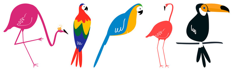 Obraz premium Colorful tropical bird illustrations element set