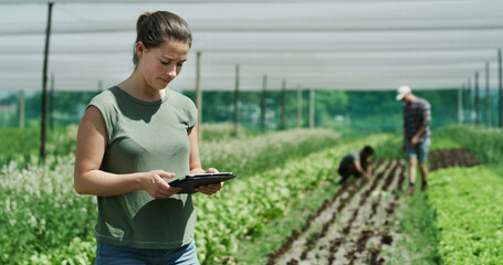 Woman, farmer or agriculture with tablet in greenhouse for agro business, inspection or production. Female person, farming and monitoring crops with technology for harvest or conservation on farmland © peopleimages.com