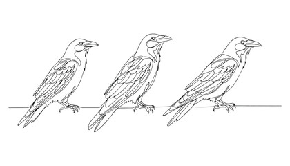 Fototapeta premium Continuous Simple black line art drawing set of Corvus bird in a minimalist style on a white background.