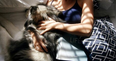 Cuddle, hands and husky with woman in home living room for affection, bonding or security. Above, petting and sunlight with dog owner in apartment together for care, companionship or loyalty © peopleimages.com