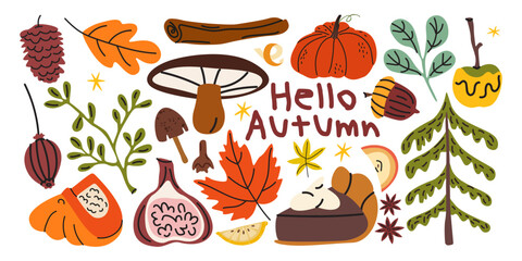 Autumn nature and cozy stickers collection. Fall elements with leaves, mushrooms, pumpkin, forest trees and sweets. Warm vector illustration © luamor