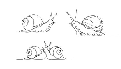 Continuous Simple black line art drawing set of snail in a minimalist style on a white background. © shoshi