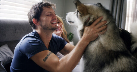 Cuddle, husky and love with couple in home living room for affection, bonding or security. Animal, petting and smile of happy dog owner people in apartment together for care, companionship or loyalty © peopleimages.com