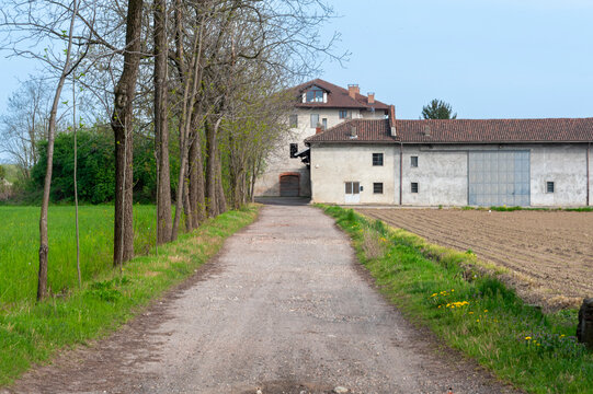 Strada sterrata che conduce a una cascina tra campi coltivati e alberi, in una tranquilla giornata di campagna. Ideale per concetti di vita rurale, agricoltura e paesaggio europeo.