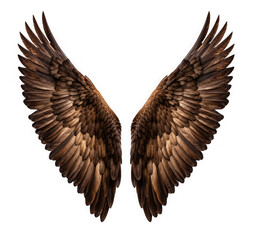 Obraz premium Eagle wings with ornament transparent background predator creature isolated on transparent background