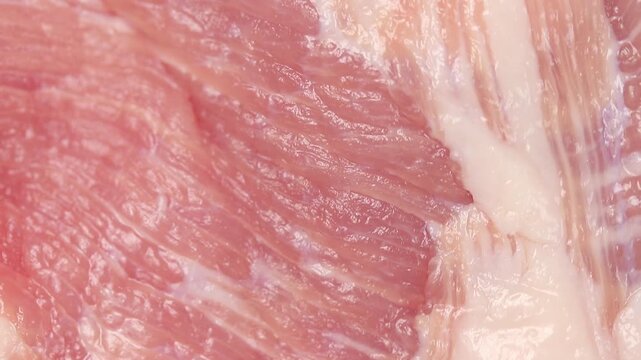Top view of raw pork jowl meat slowly rotating, showcasing the marbling texture.