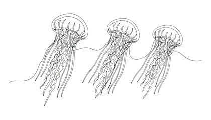 Continuous Simple black line art drawing set of jellyfish in a minimalist style on a white background. © shoshi