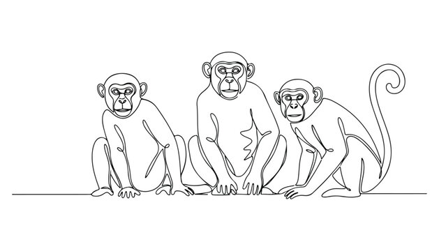 Continuous Simple black line art drawing set of monkey in a minimalist style on a white background.