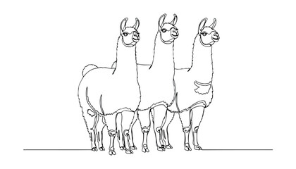 Continuous Simple black line art drawing set of llama in a minimalist style on a white background. © shoshi
