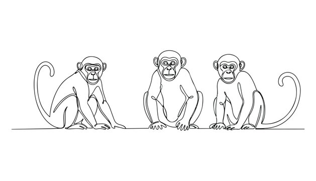 Continuous Simple black line art drawing set of monkey in a minimalist style on a white background.
