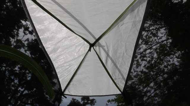 view of nature park trees from inside camping tent overnight adventure camp free standing tent pole net mesh bug protection rain fly removed morning sunrise beauty