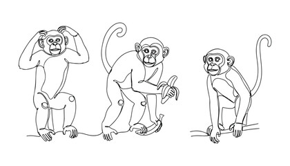 Obraz premium Continuous Simple black line art drawing set of monkey in a minimalist style on a white background.