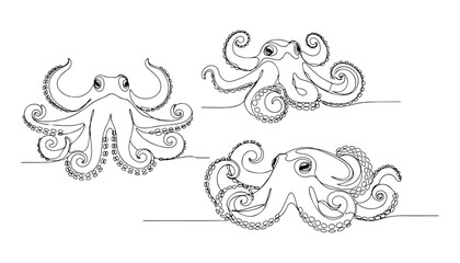 Continuous Simple black line art drawing set of octopus in a minimalist style on a white background. © shoshi