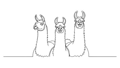 Continuous Simple black line art drawing set of llama in a minimalist style on a white background. © shoshi