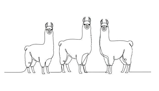Continuous Simple black line art drawing set of llama in a minimalist style on a white background.
