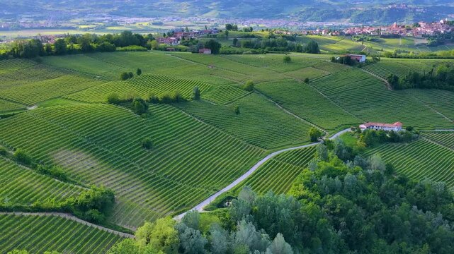 Aerial View of Rolling Green Vineyards and Farmhouses in Piedmont Italy