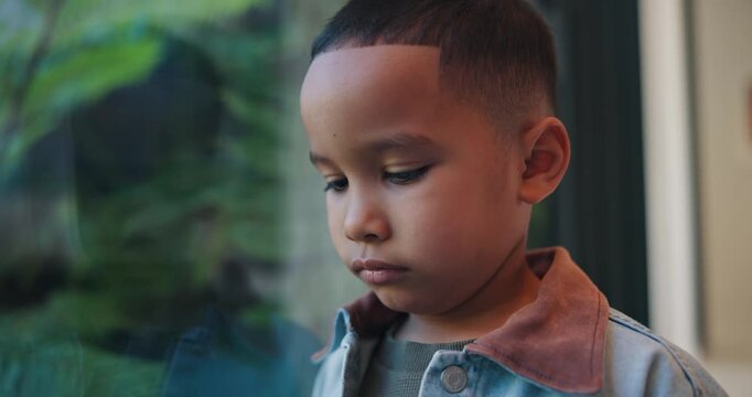 Thinking, sad and boy by window in home with reflection of trauma, bad memory and loneliness. House, childhood and kid with thoughtful, wondering and upset emotions for separation, unhappy and worry