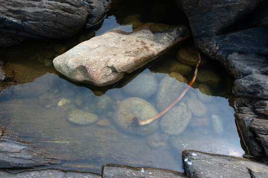 Rock pool with driftwood and submerged stones on Brittany coastline France