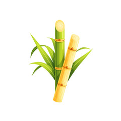 Fototapeta premium Realistic cartoon sugarcane stalks with cross section cut Realistic cartoon sugarcane stalks with cross section cut