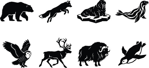 Set of solid black polar and arctic animal vector silhouettes featuring bear, fox, walrus, seal, owl, reindeer, penguin isolated © Designer Arif