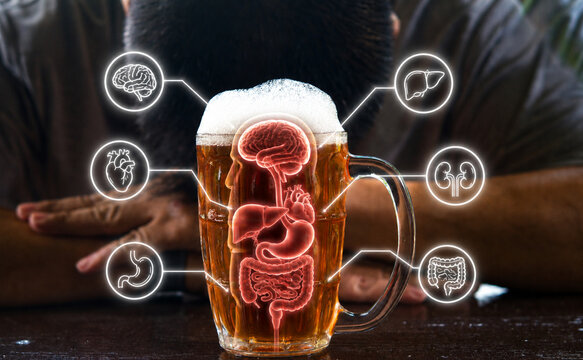 Alcohol can seriously damage vital organs in the body. Excessive drinking harms the liver, heart, brain, and kidneys, increasing the risk of disease, mental decline, and long-term health problems.