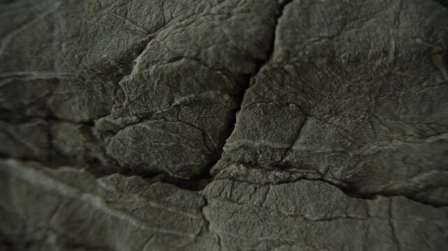 Weathered stone surface with subtle mineral texture