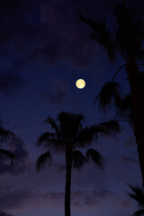Obraz premium Full Moon on a twilight sky with landscape silhouettes.