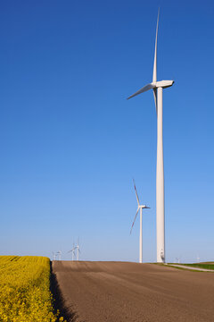 Wind turbines at sunset in green field &ndash; renewable energy, clean power, sustainable future.